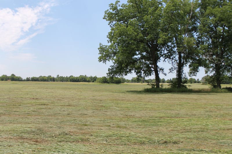 McCoy Creek Ranch Tract 8 photo 8