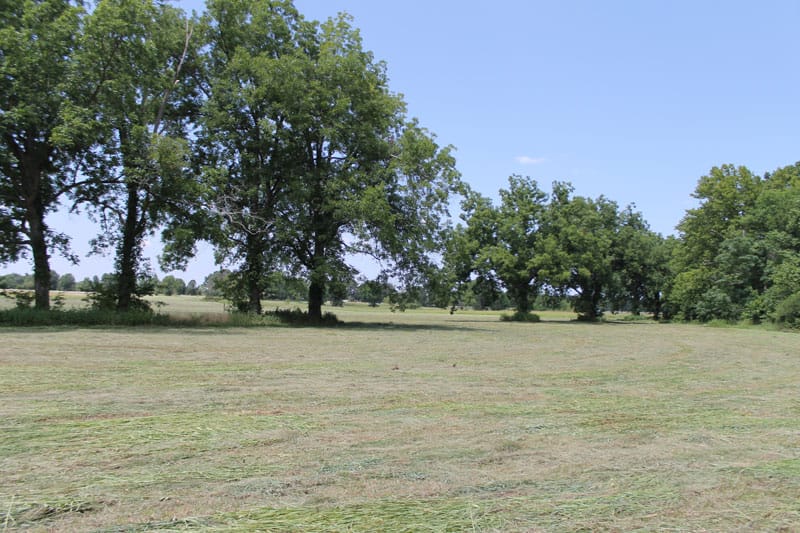McCoy Creek Ranch Tract 8 photo 9