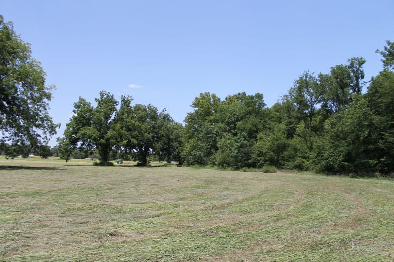 McCoy Creek Ranch Tract 8 photo 10