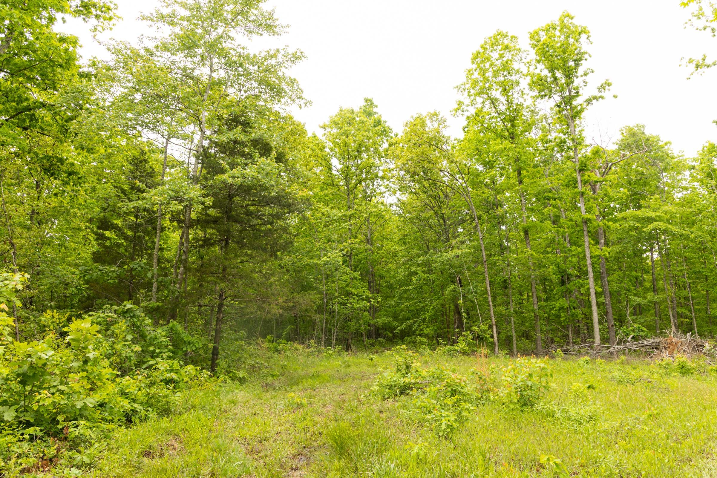 Stardust Estates Tract 20 photo 17