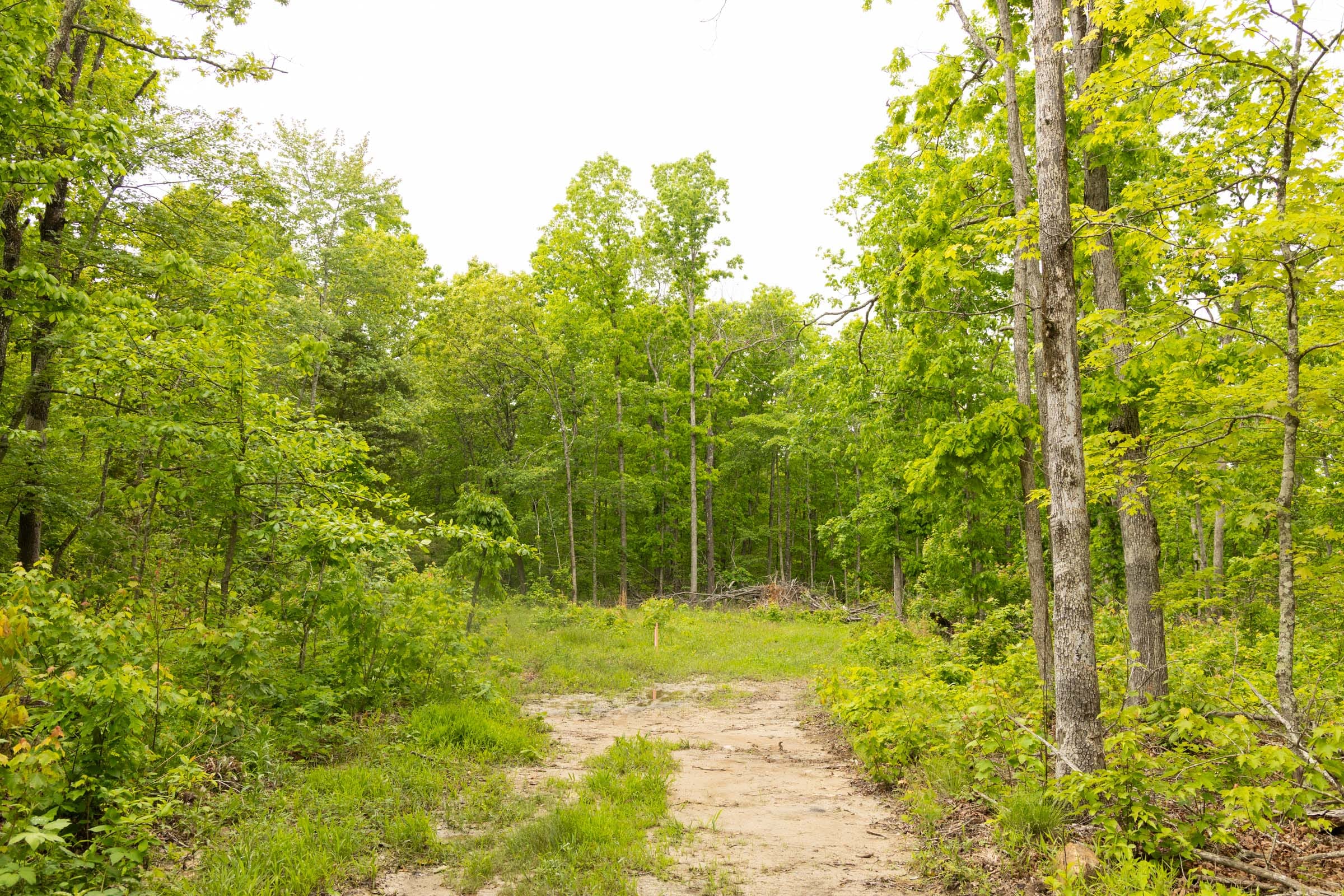 Stardust Estates Tract 20 photo 18