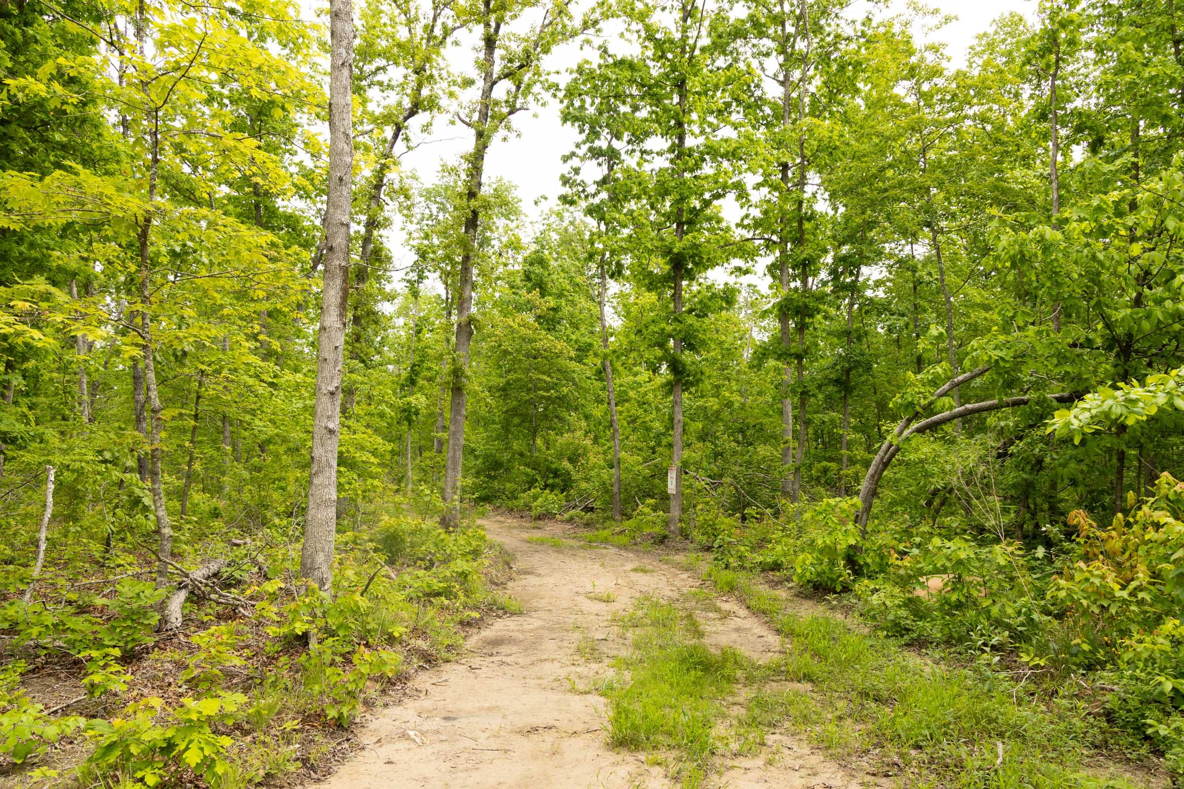 Stardust Estates Tract 20 photo 15