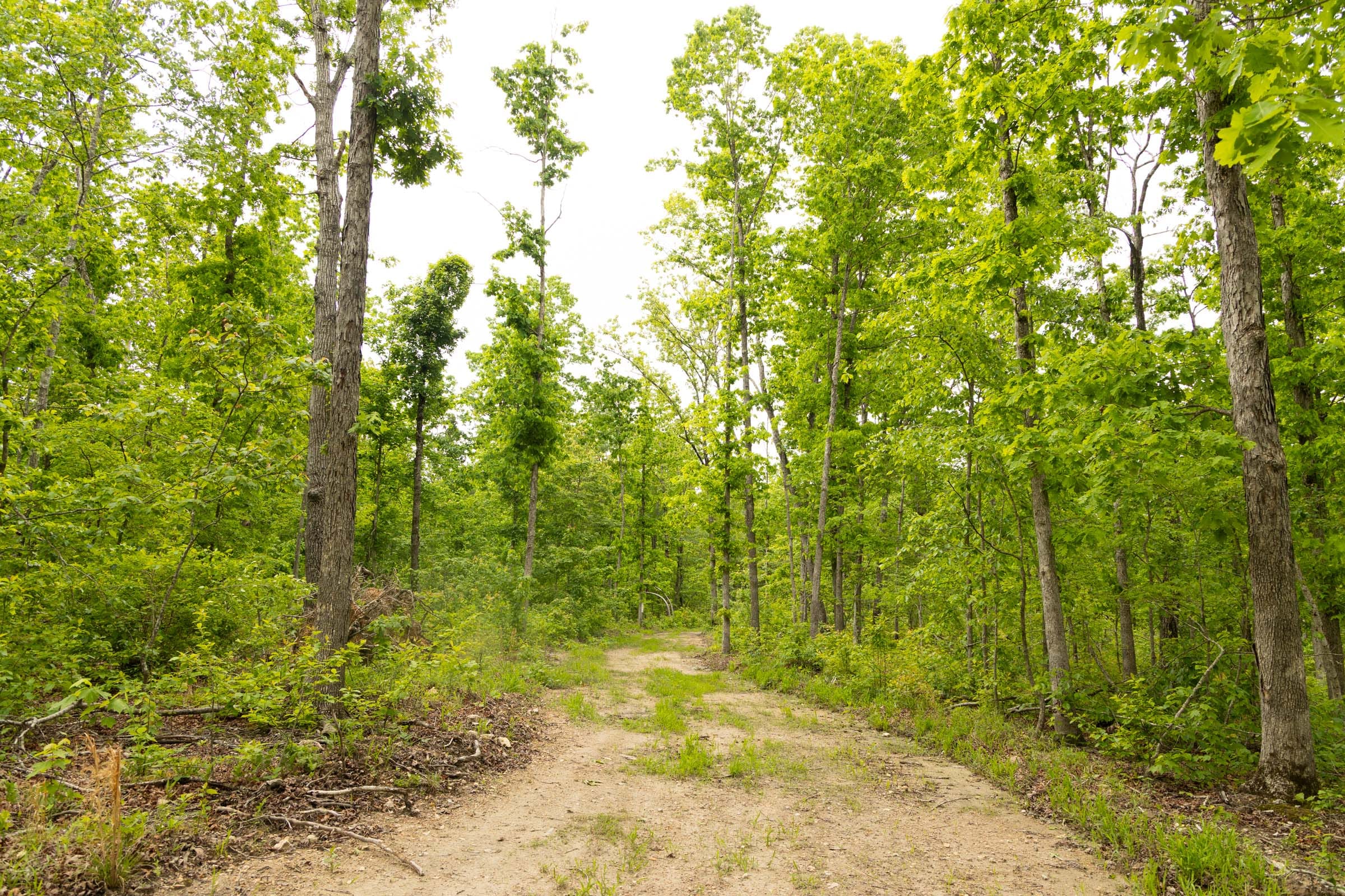 Stardust Estates Tract 20 photo 12