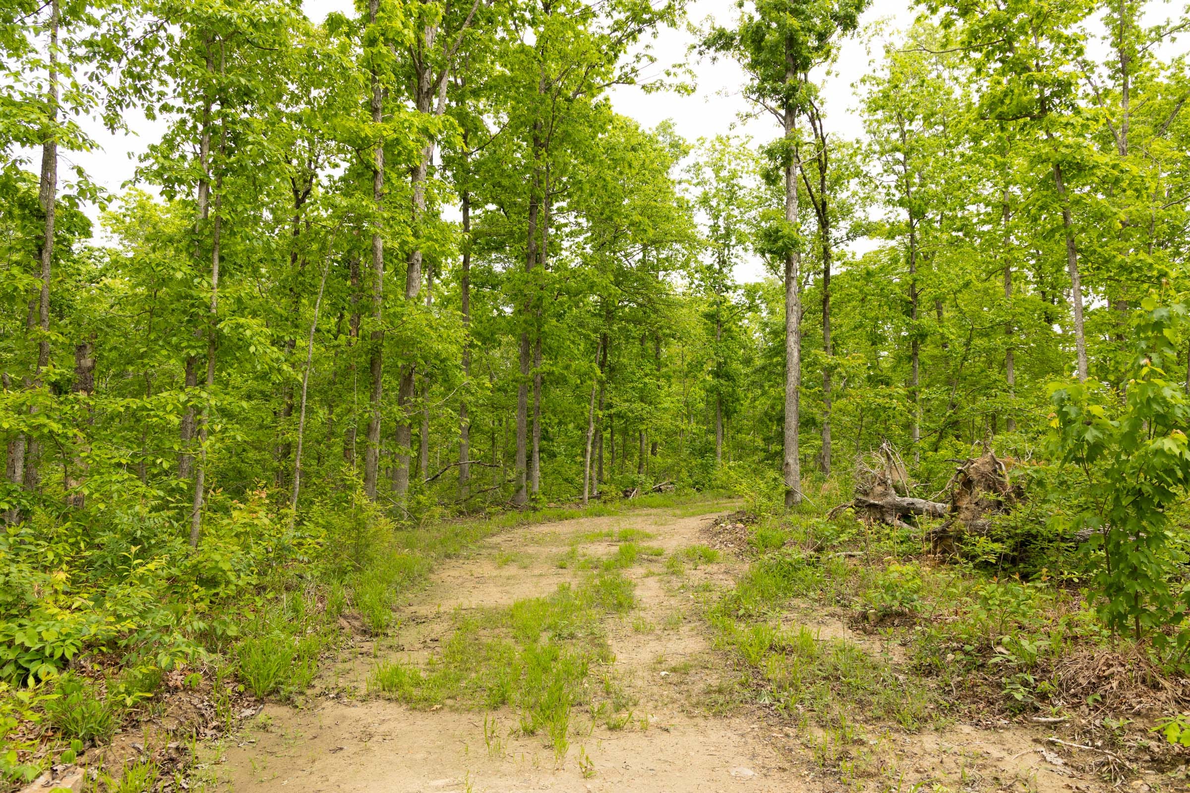 Stardust Estates Tract 20 photo 3