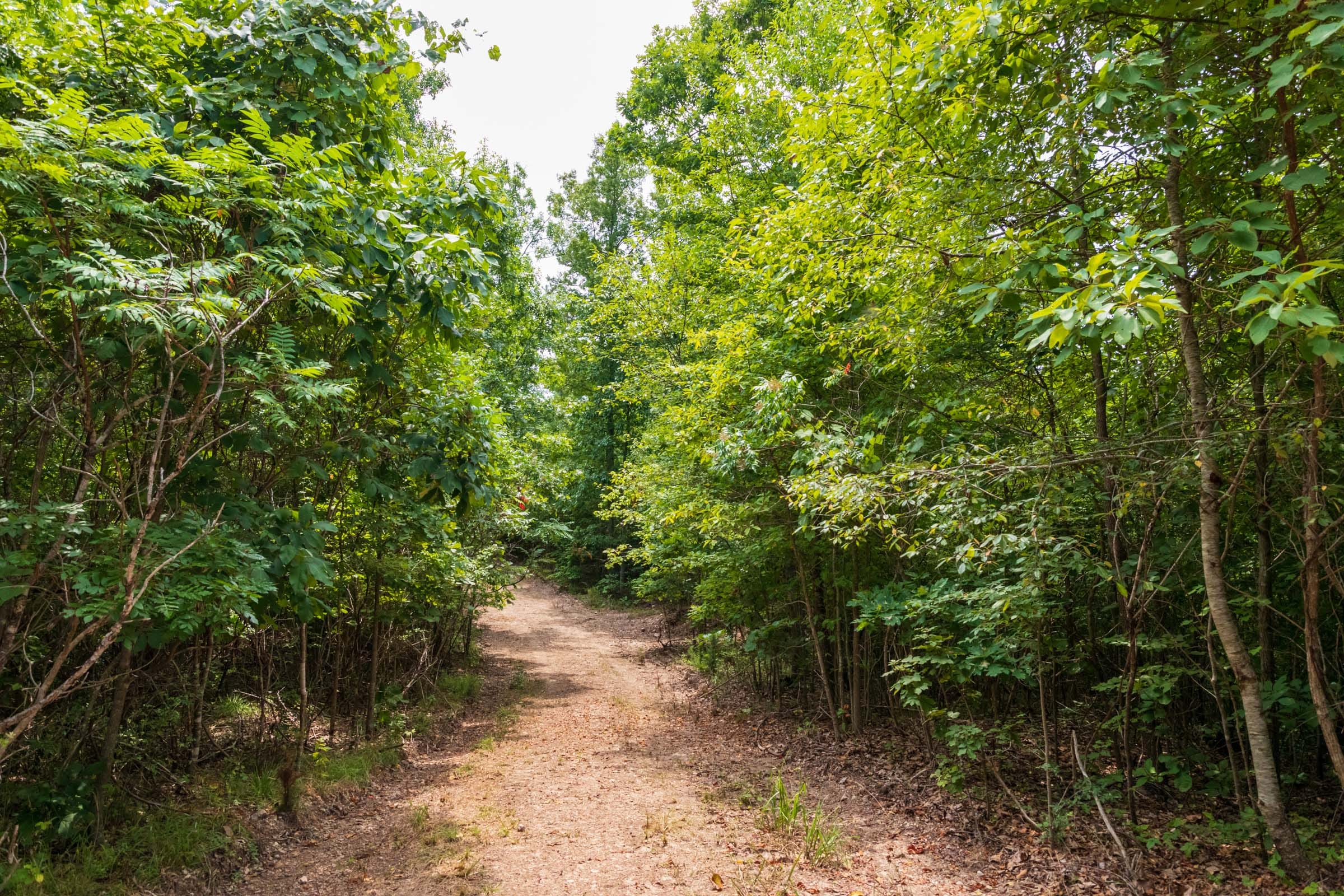 Cypress Ridge Tract 27 photo 1