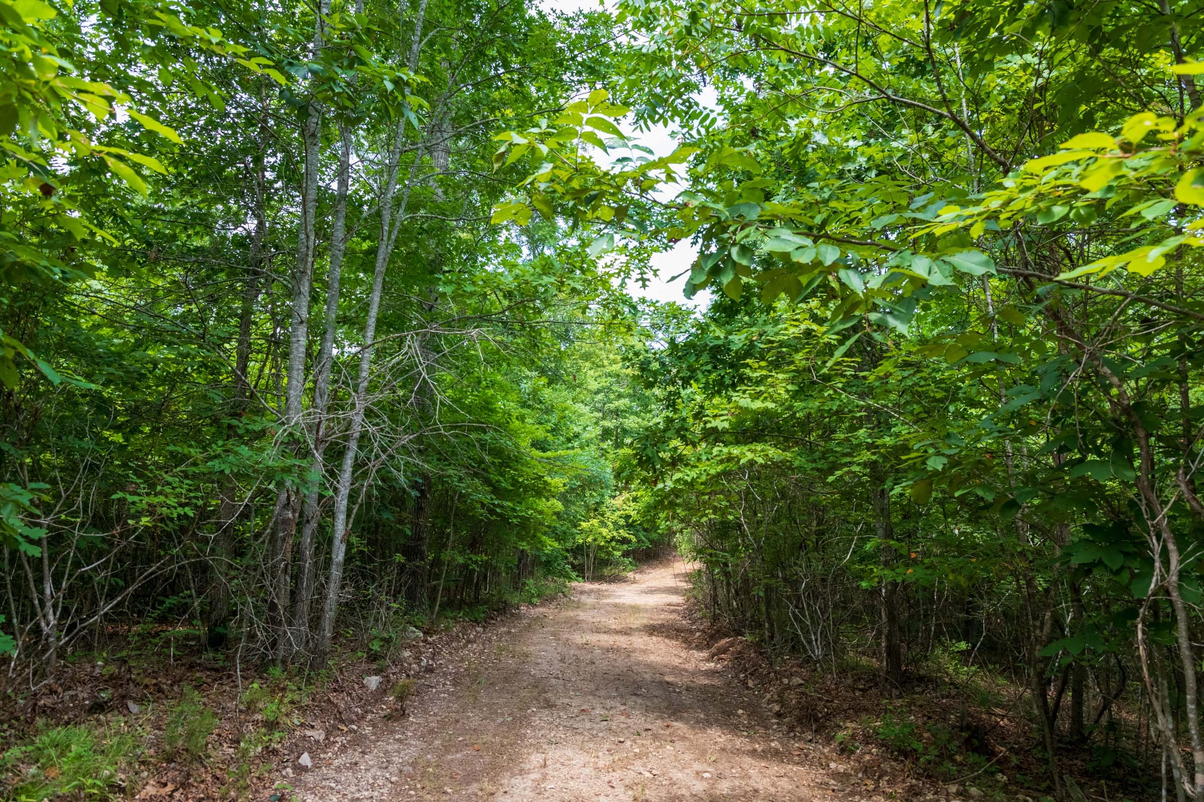 Cypress Ridge Tract 27 photo 4