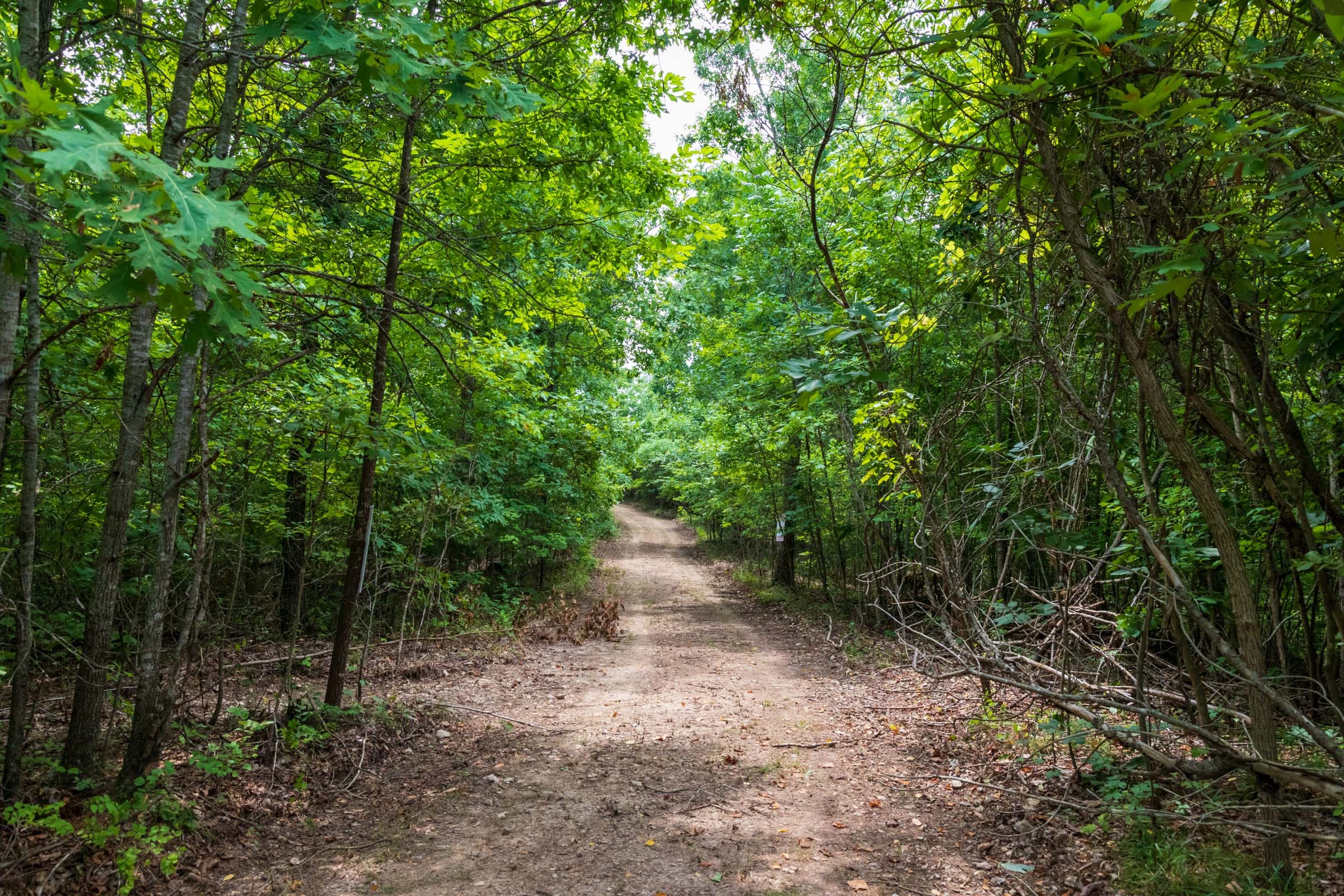Cypress Ridge Tract 27 photo 9