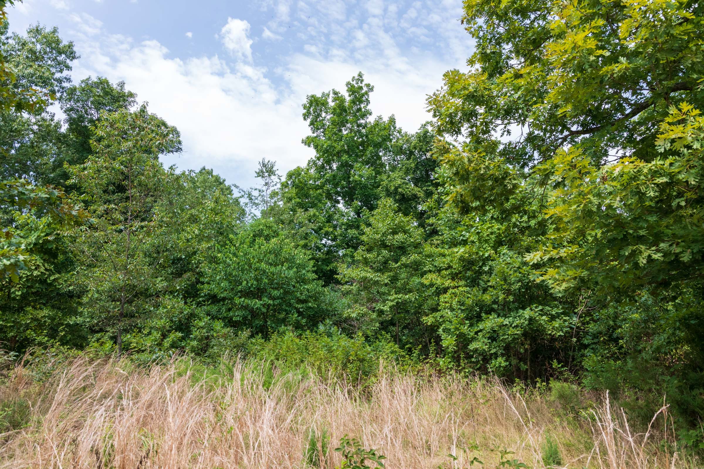 Cypress Ridge Tract 27 photo 11