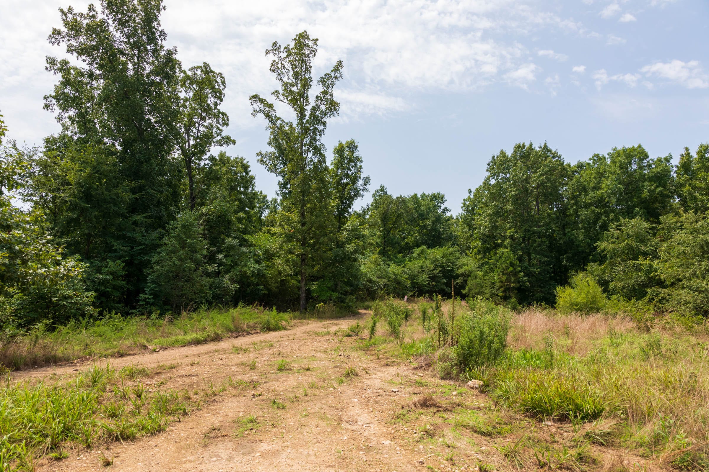 Cypress Ridge Tract 27 photo 7