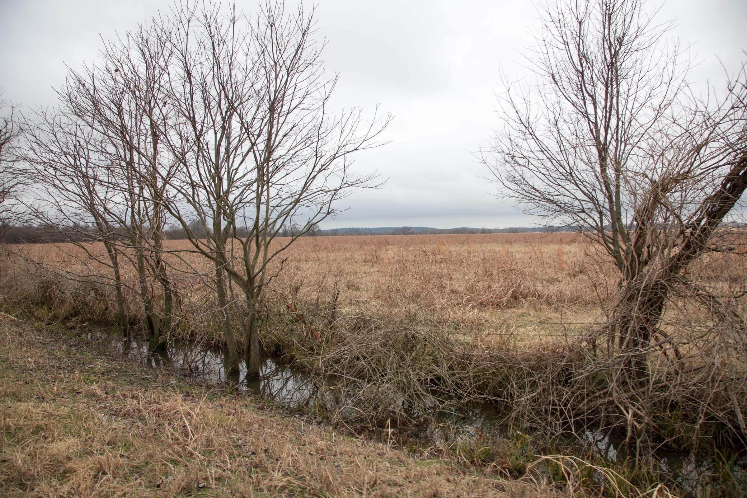 Canadian Plains Tract 12 photo 2