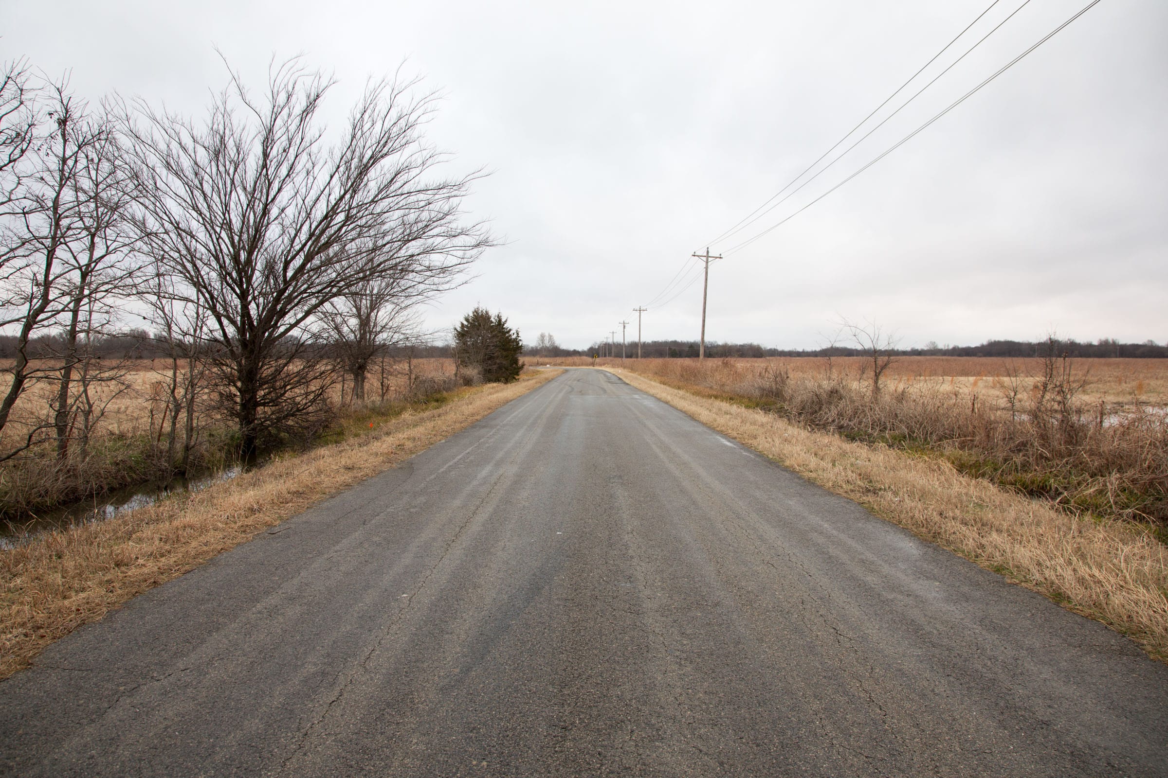 Canadian Plains Tract 12 photo 6