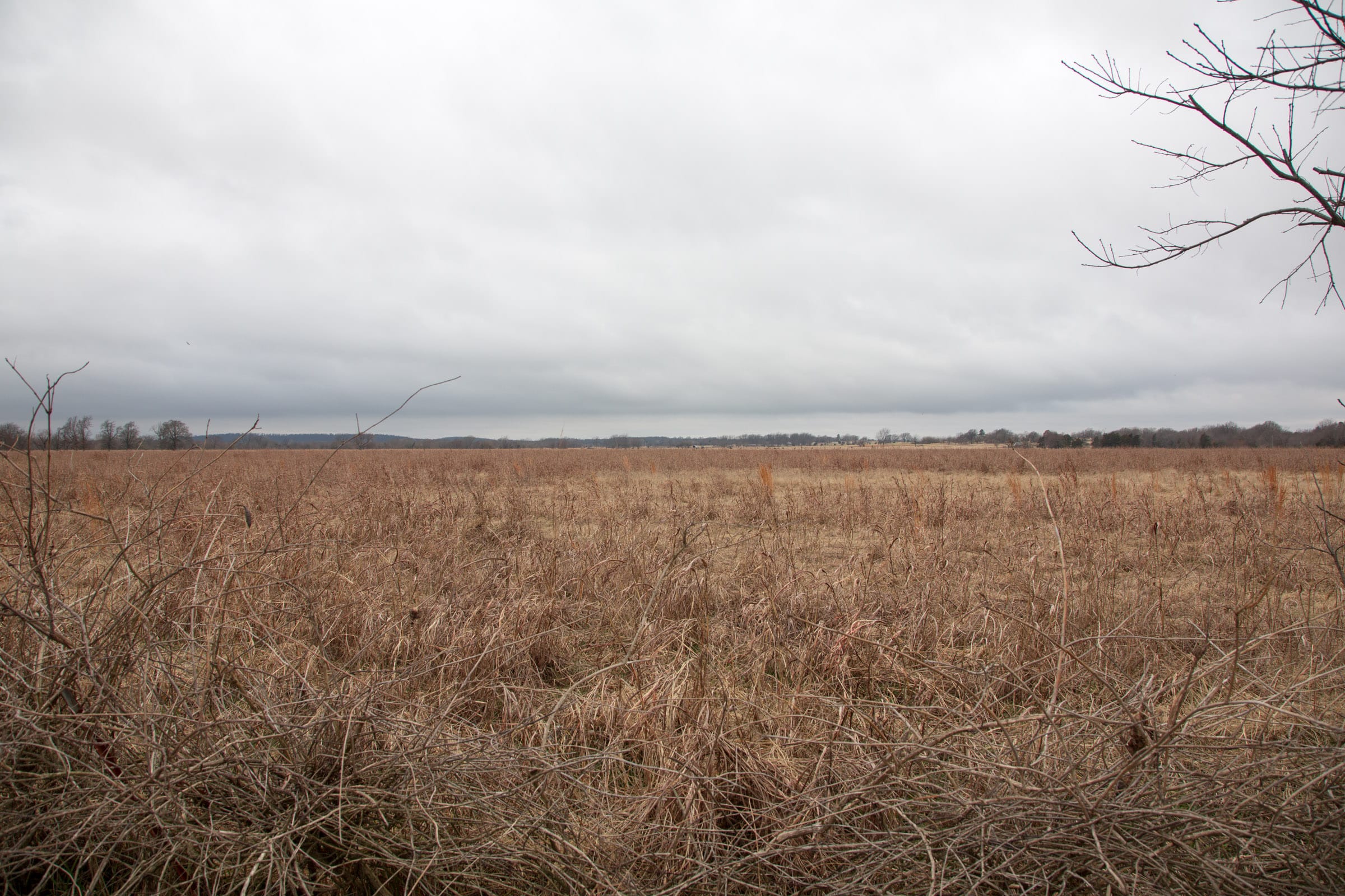 Canadian Plains Tract 12 photo 3