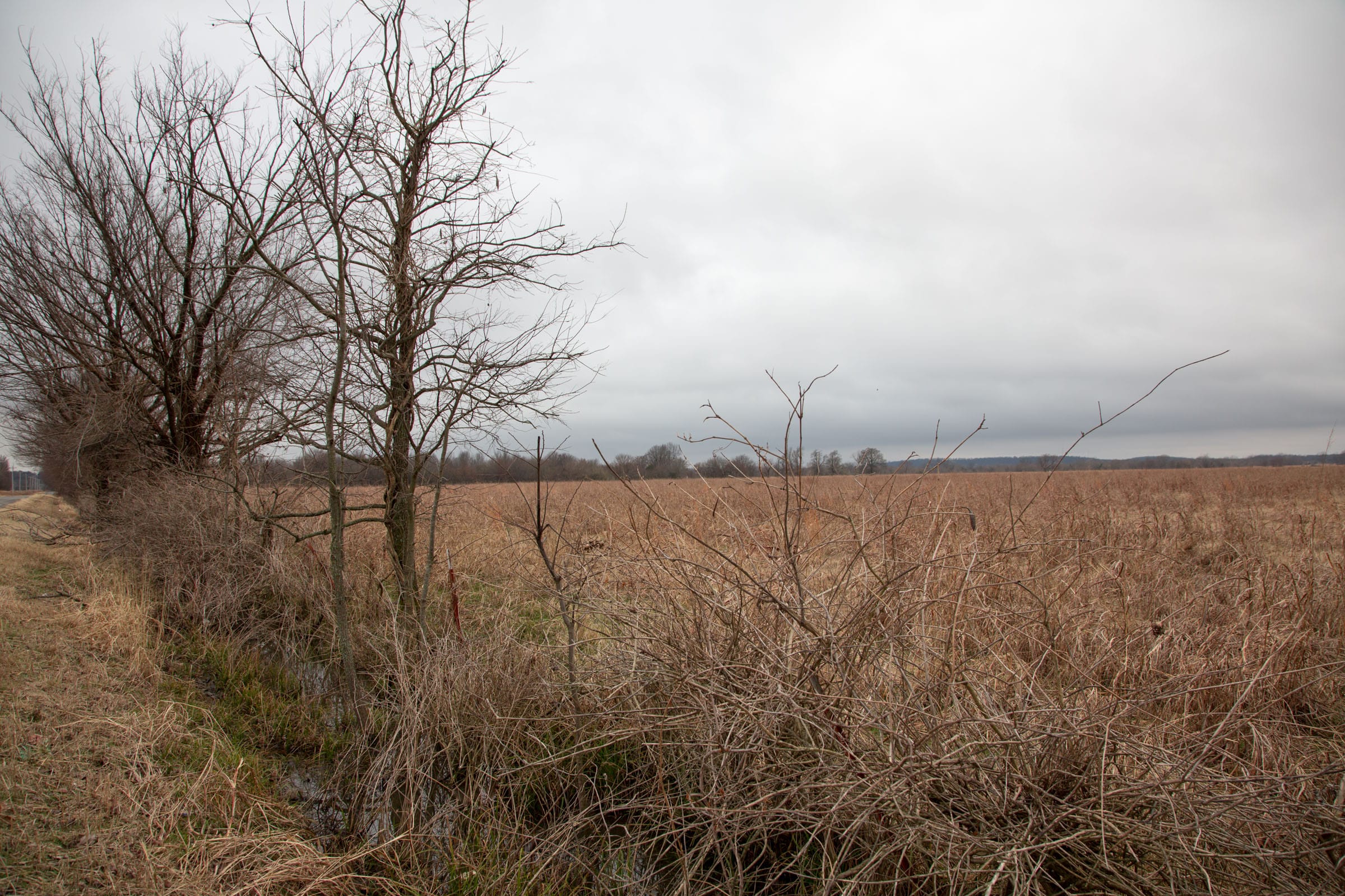 Canadian Plains Tract 12 photo 4
