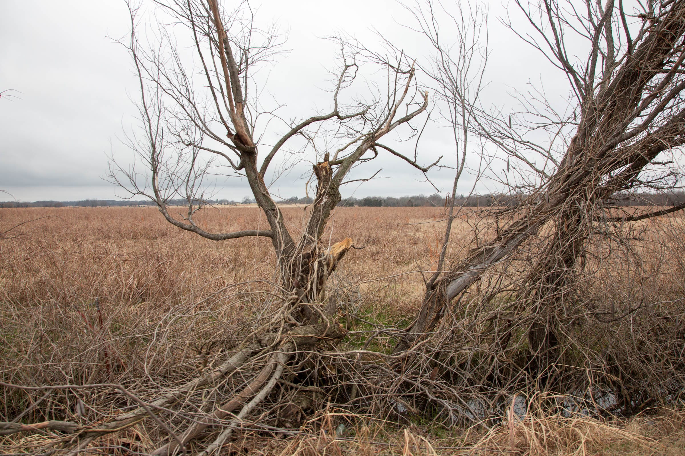 Canadian Plains Tract 12 photo 5