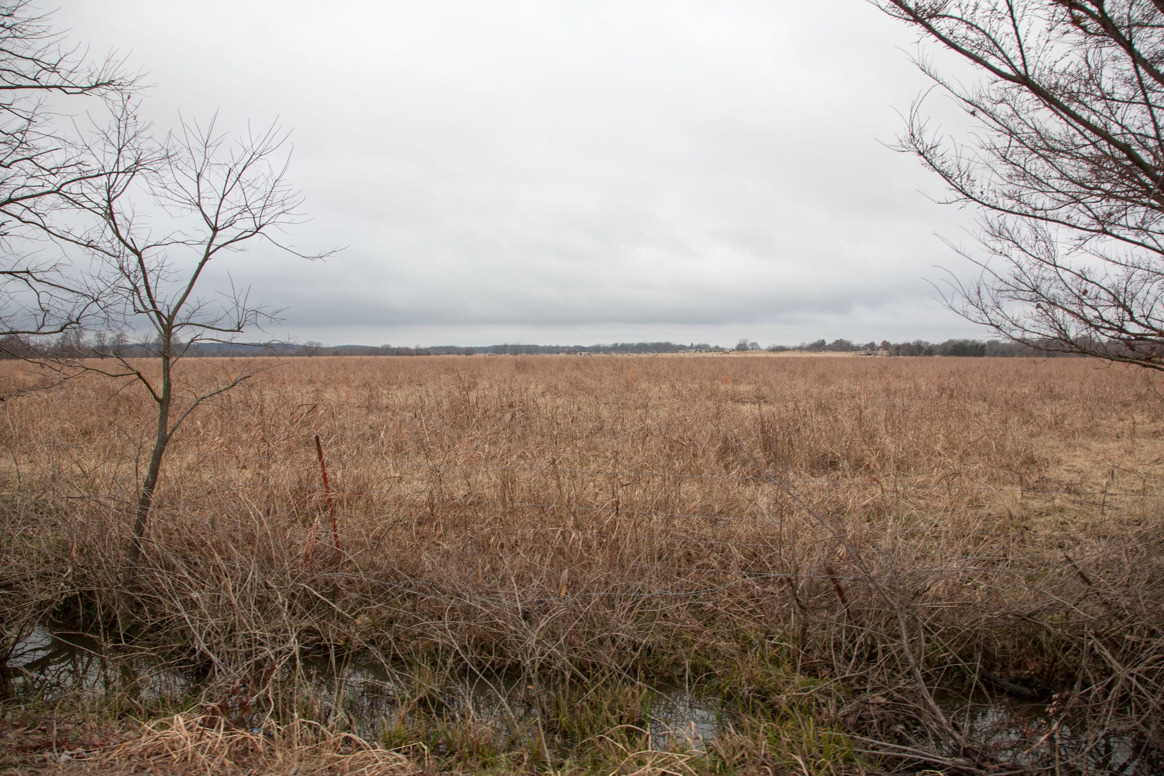 Canadian Plains Tract 12 photo 7