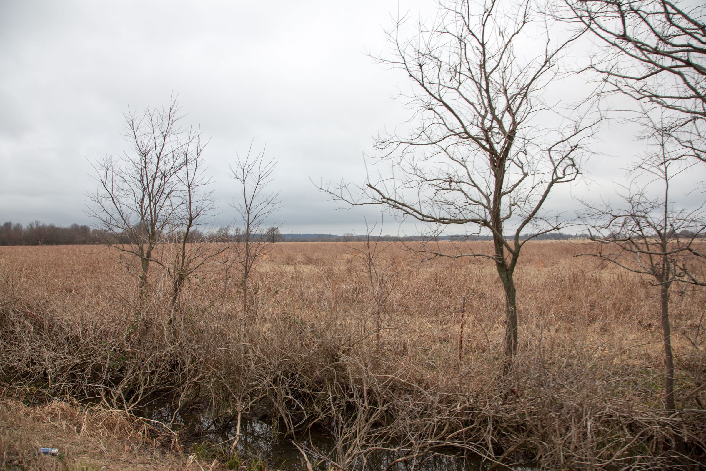 Canadian Plains Tract 12 photo 8