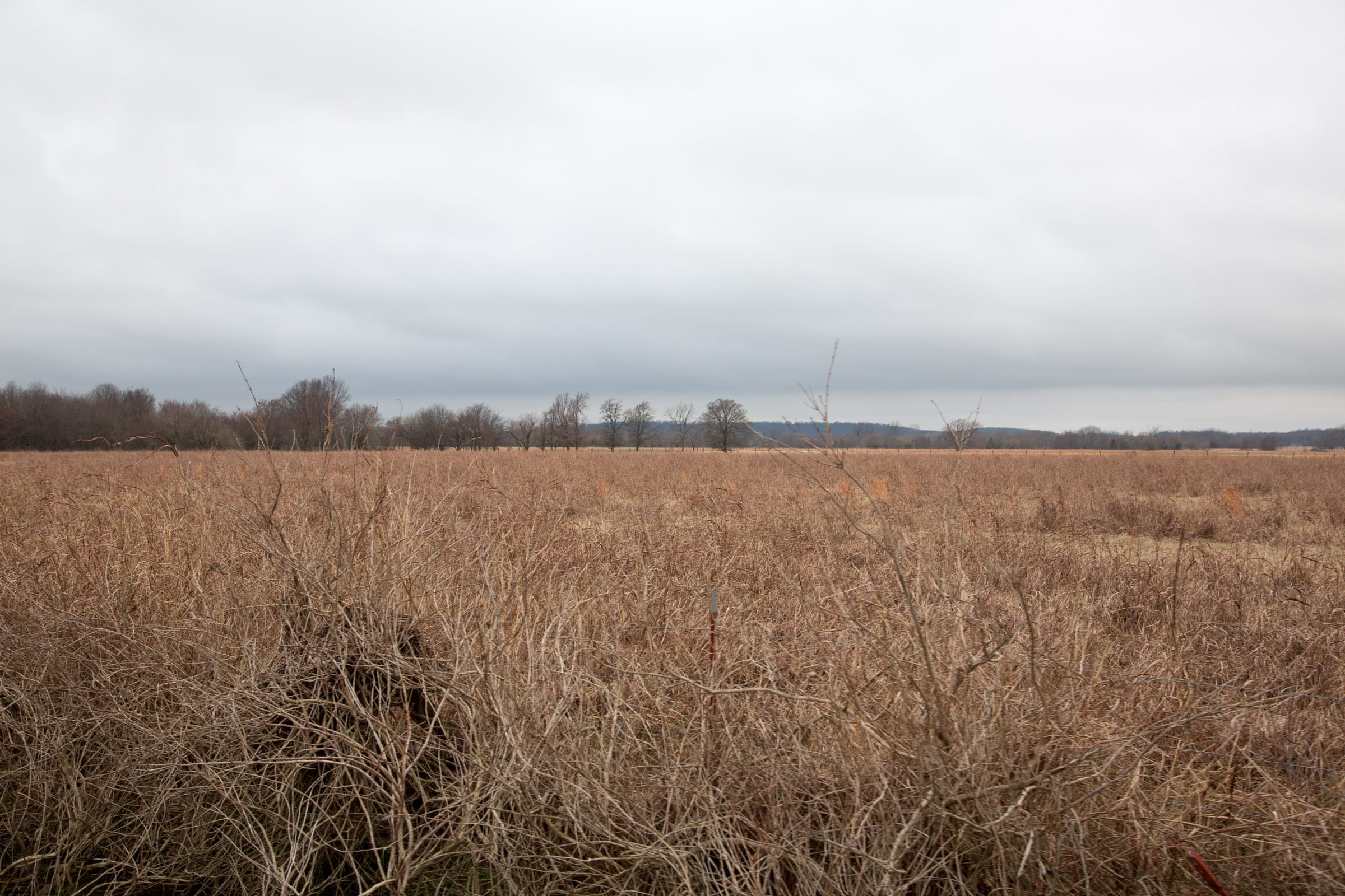 Canadian Plains Tract 12 photo 9