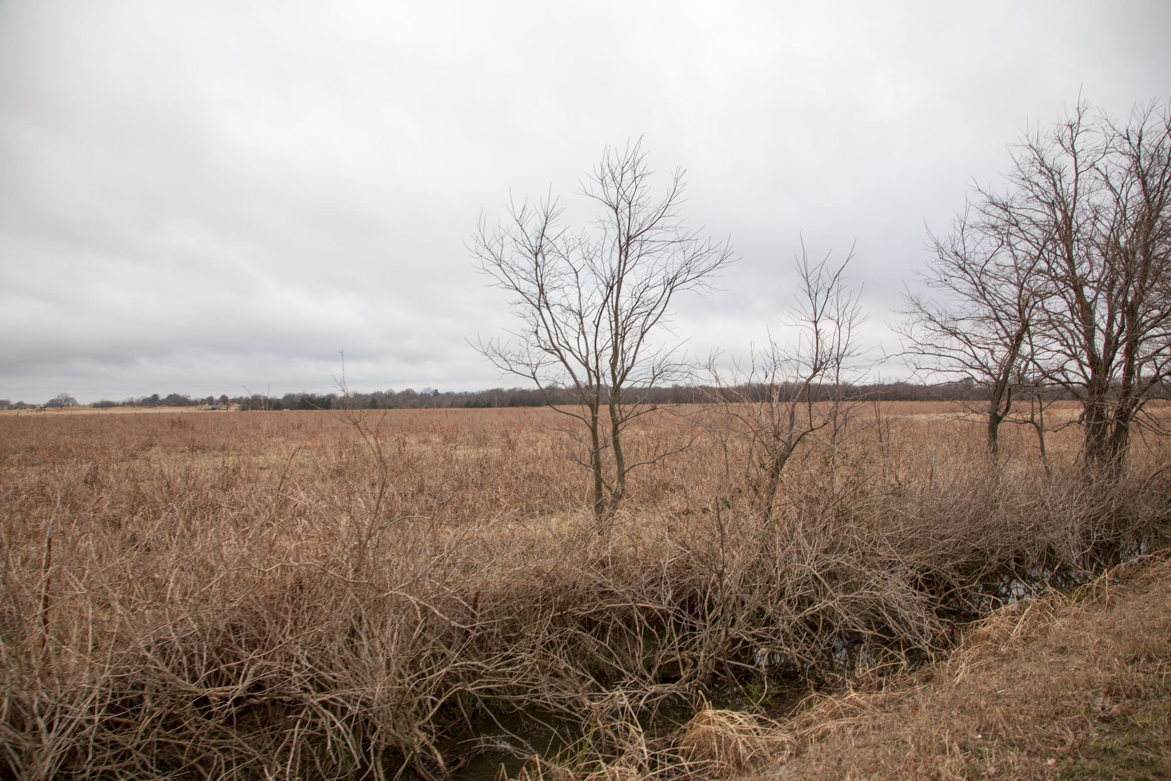 Canadian Plains Tract 12 photo 10