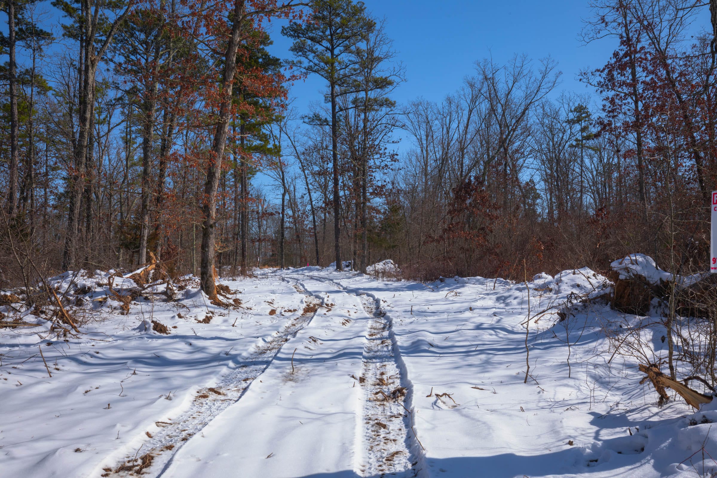 Sleepy Hollow Phase I Tract 46 photo 2