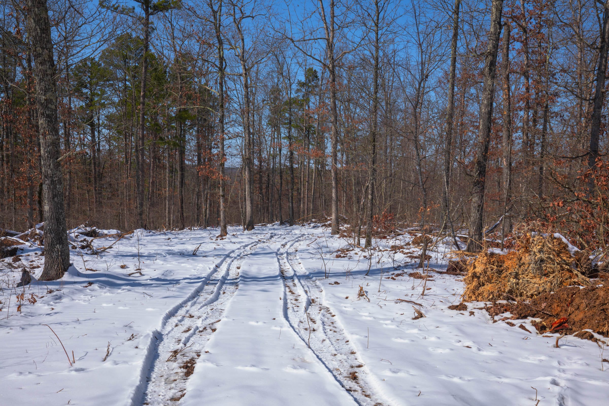 Sleepy Hollow Phase I Tract 46 photo 1