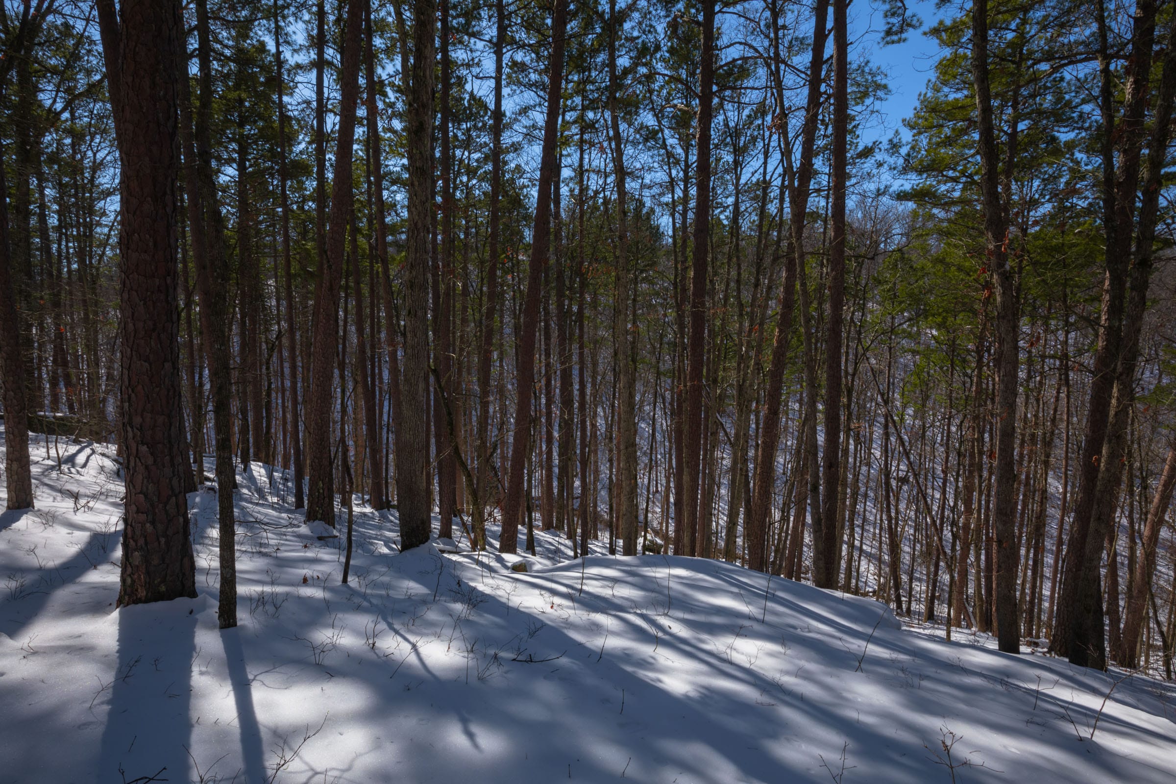 Sleepy Hollow Phase I Tract 46 photo 7