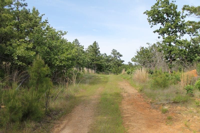 Indian Ridge – Phase II Tract 36 photo 1