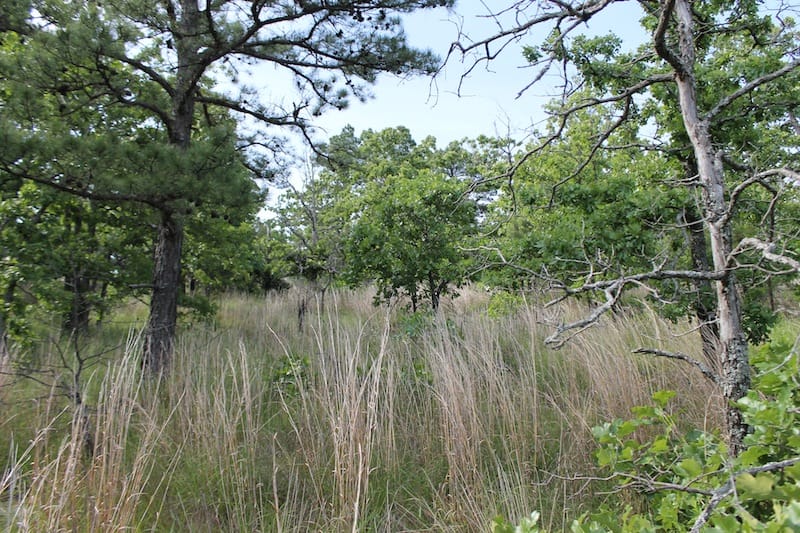Indian Ridge – Phase II Tract 36 photo 3