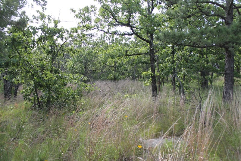 Indian Ridge – Phase II Tract 36 photo 4