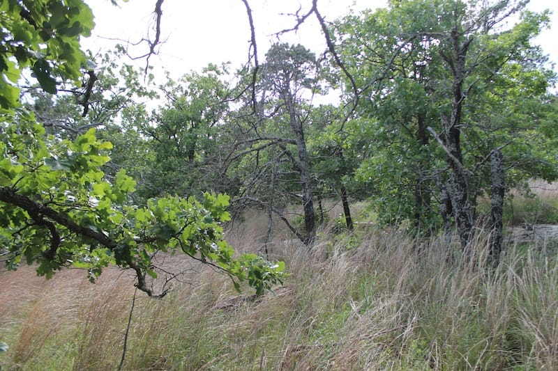 Indian Ridge – Phase II Tract 36 photo 5