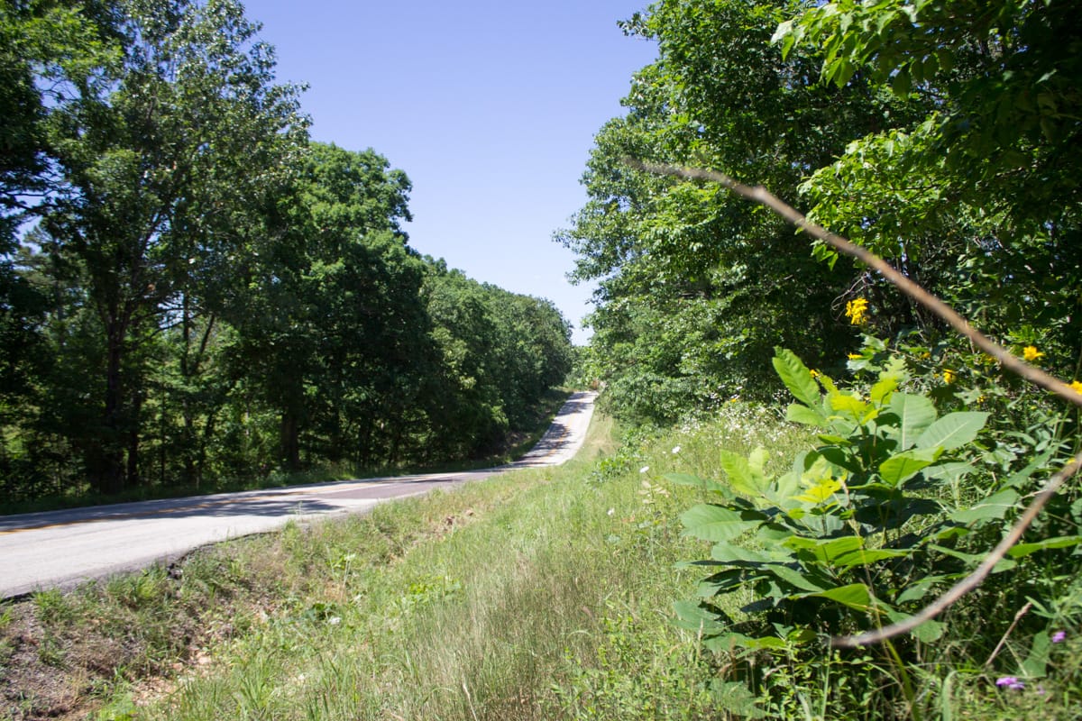 Timber Crossing Tract 1 photo 1