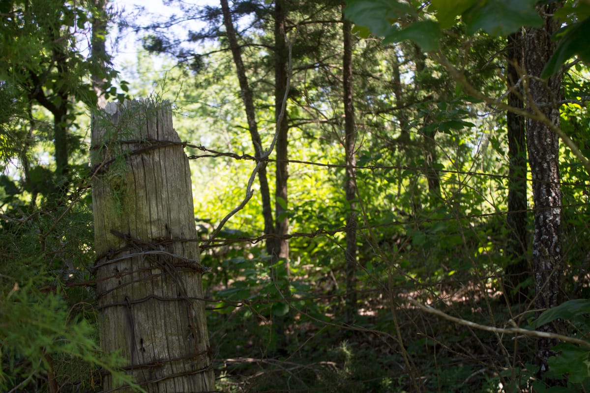Timber Crossing Tract 1 photo 9