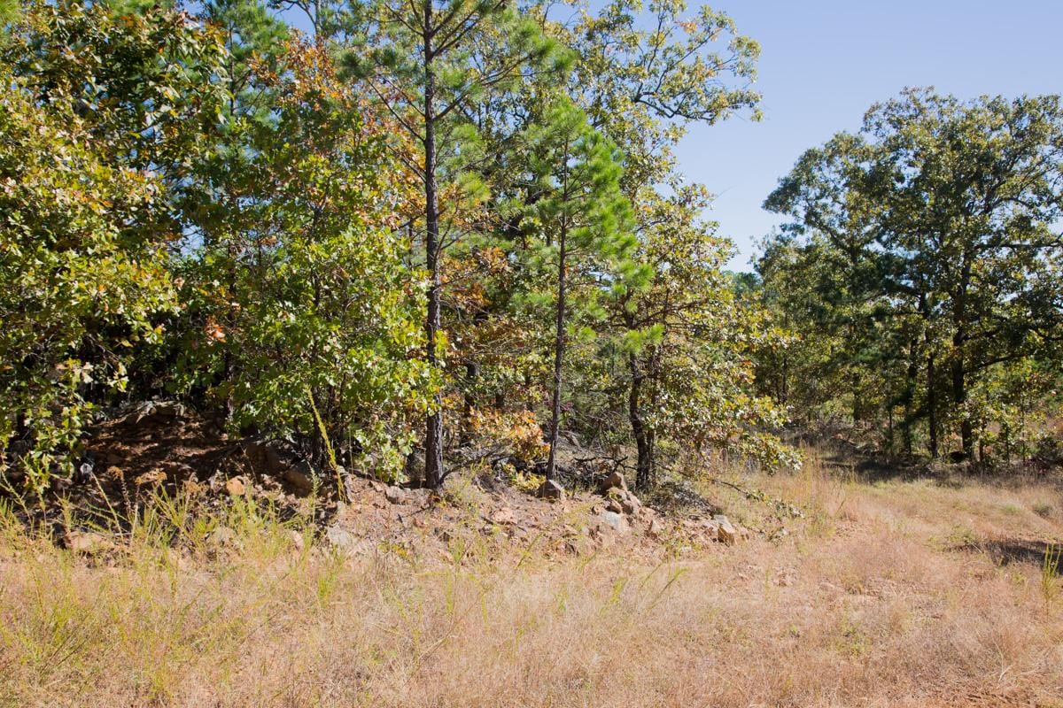 Stone Creek Phase I Tract 173 photo 2