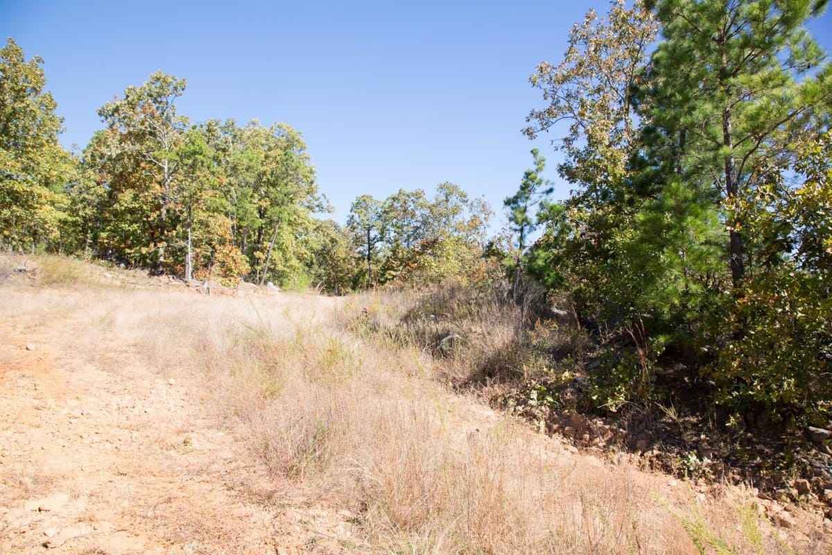 Stone Creek Phase I Tract 173 photo 3