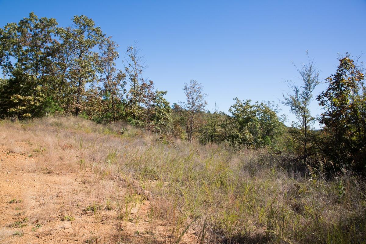 Stone Creek Phase I Tract 173 photo 6