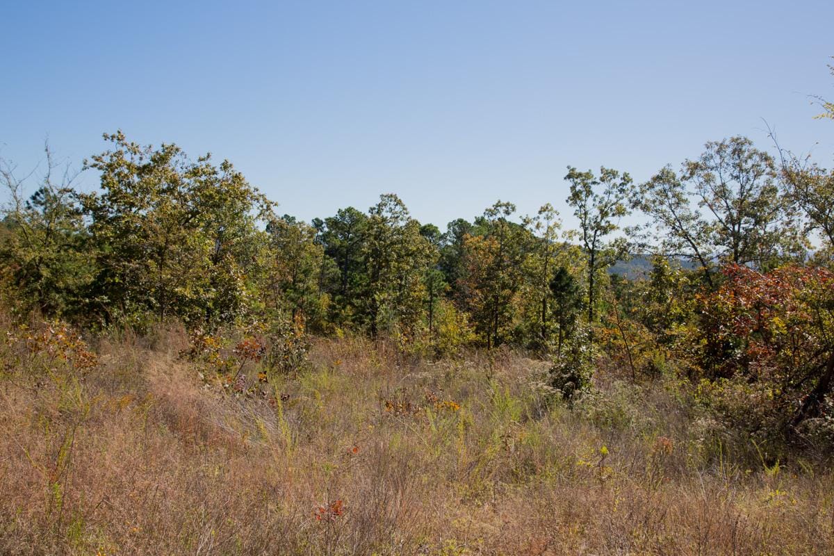 Stone Creek Phase I Tract 173 photo 7