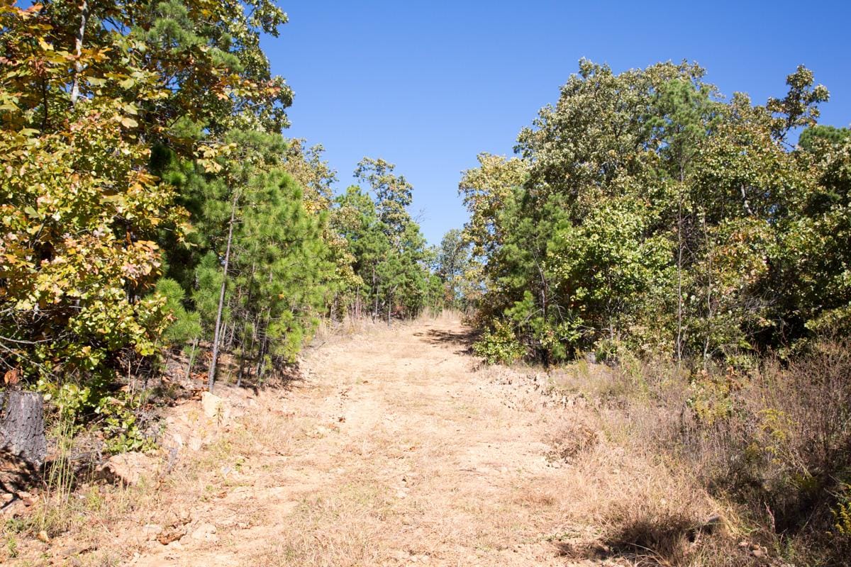 Stone Creek Phase I Tract 173 photo 1
