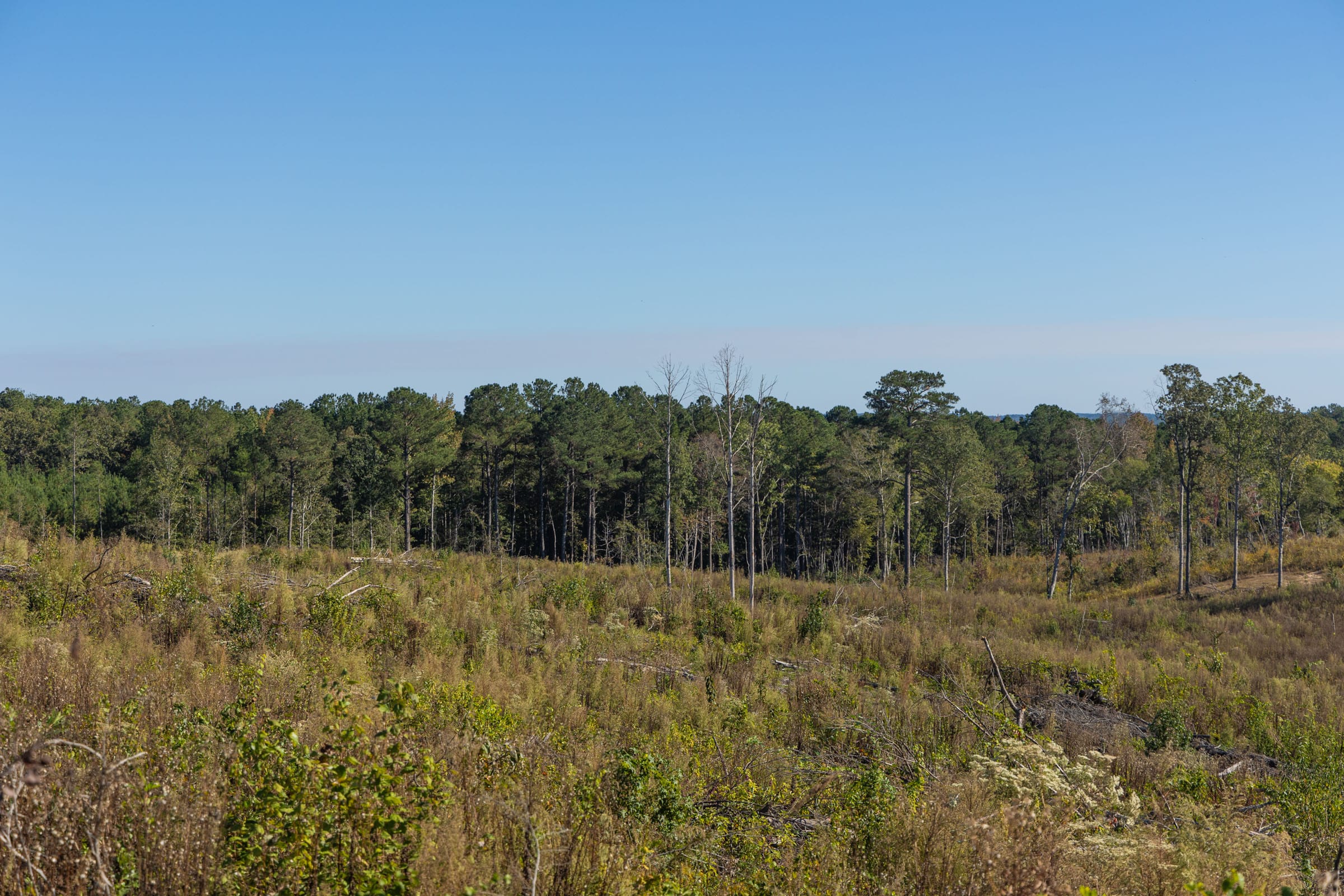 Meyer’s Ridge Tract 39 photo 10