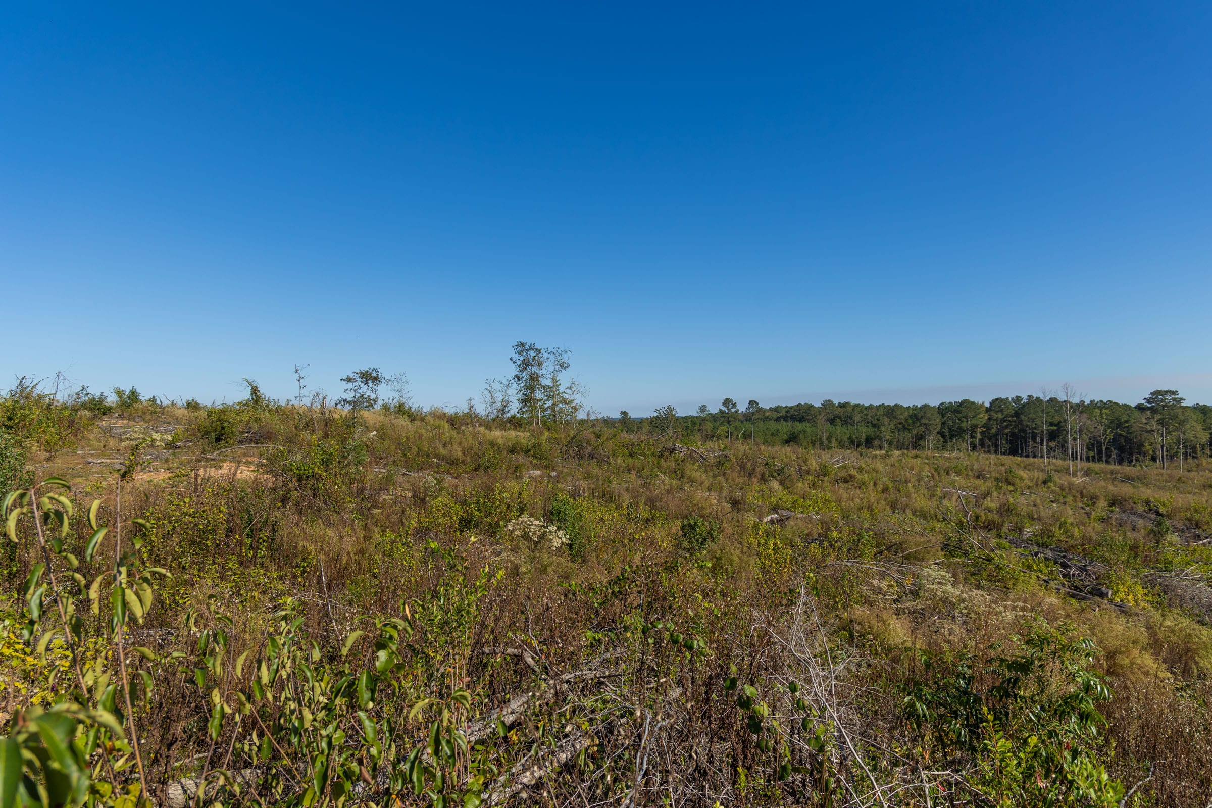 Meyer’s Ridge Tract 39 photo 9