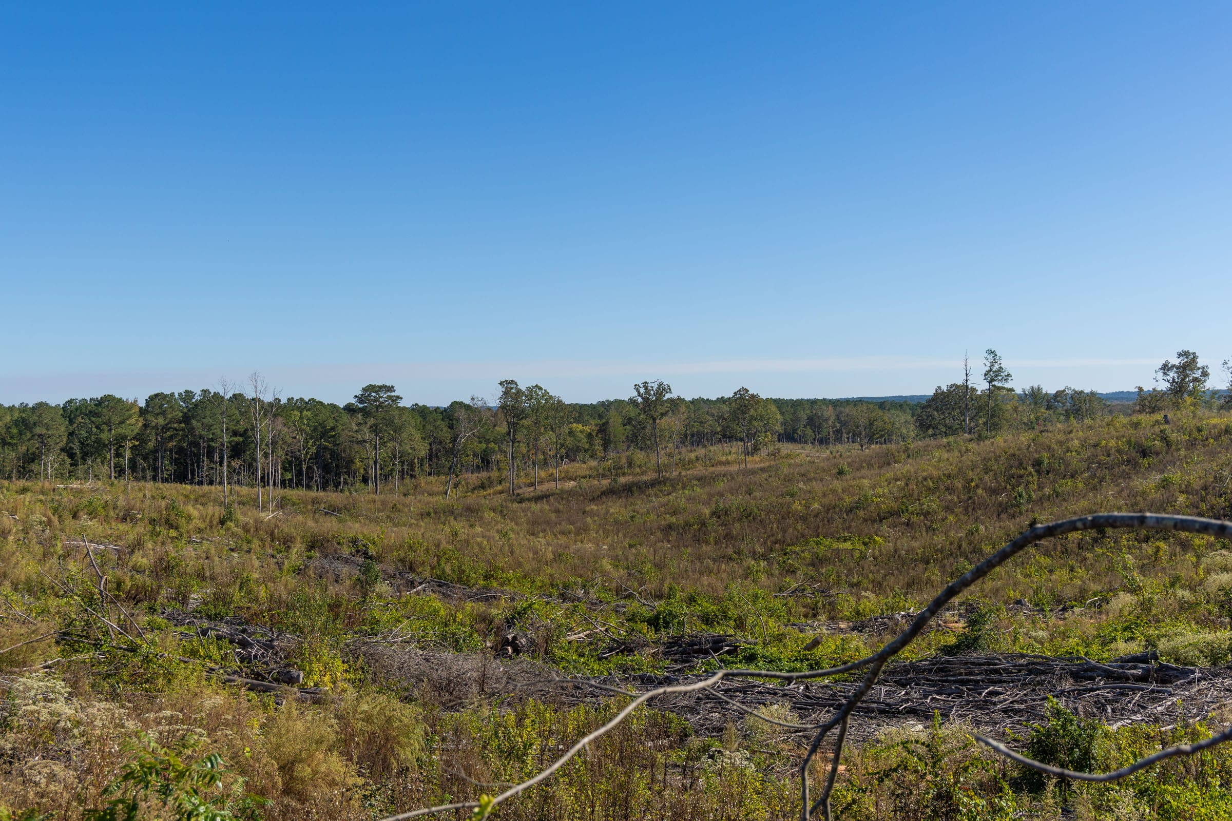 Meyer’s Ridge Tract 39 photo 7