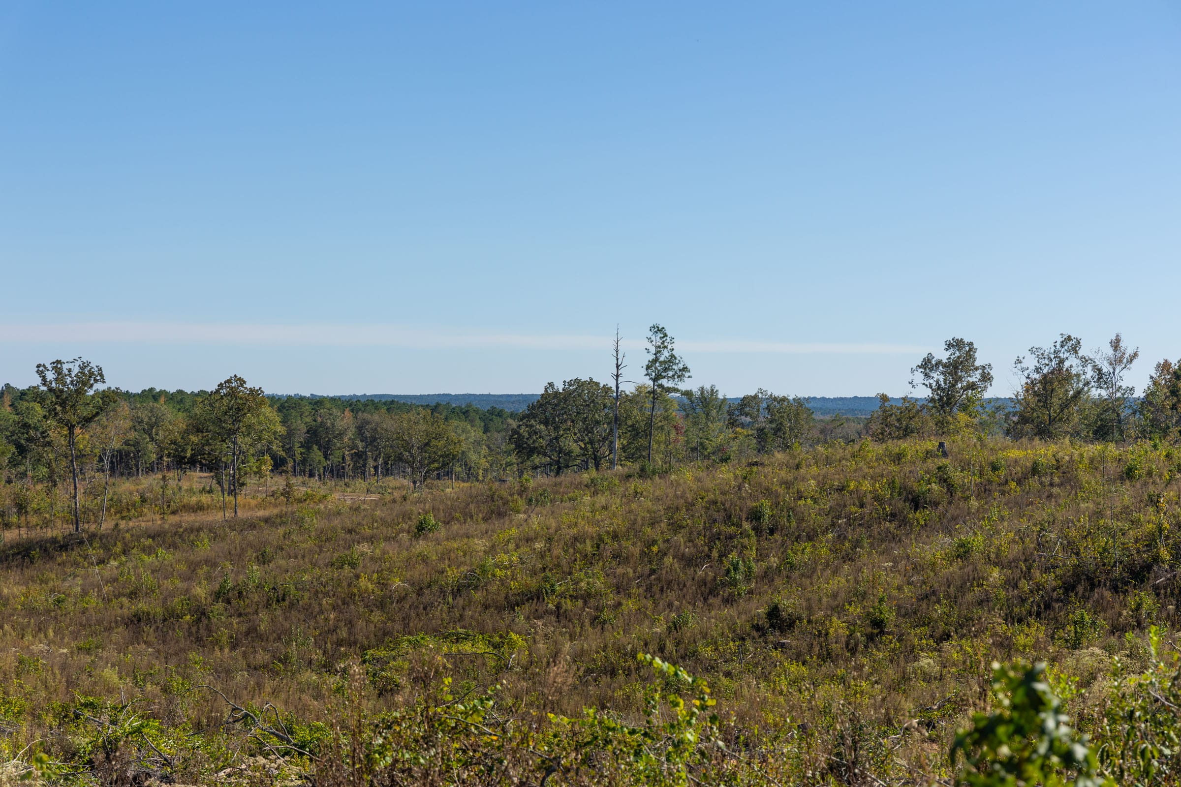 Meyer’s Ridge Tract 39 photo 4