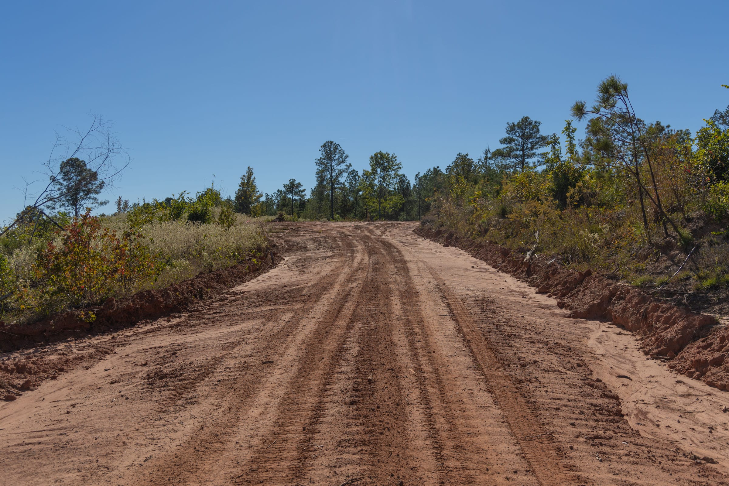 Meyer’s Ridge Tract 39 photo 11