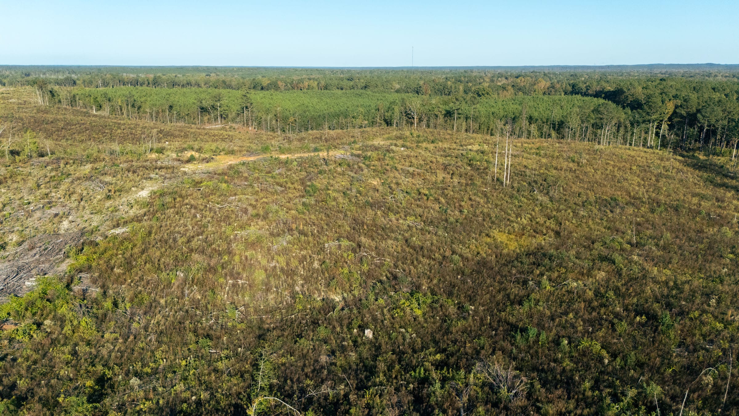 Meyer’s Ridge Tract 39 photo 6