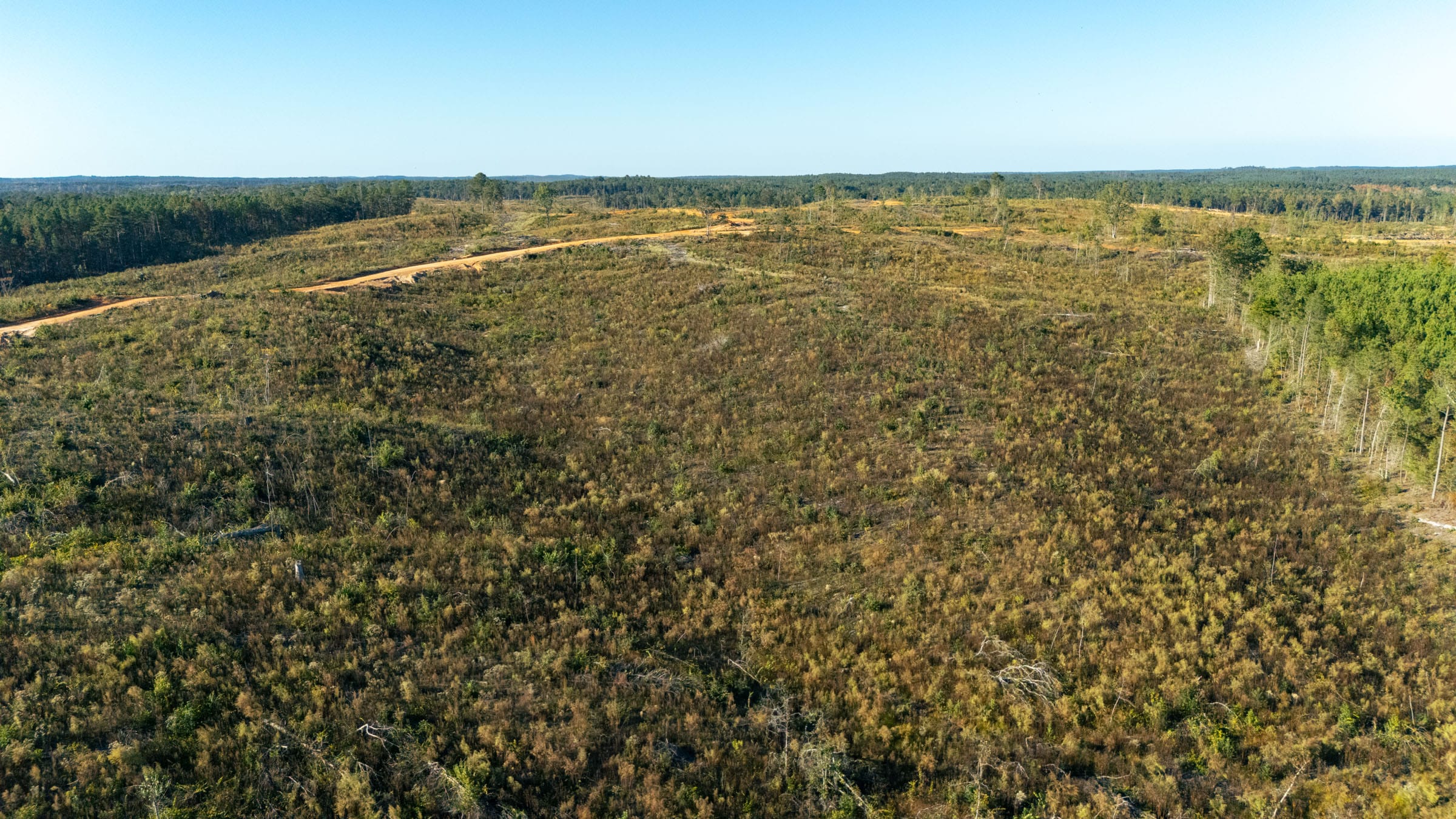 Meyer’s Ridge Tract 39 photo 2