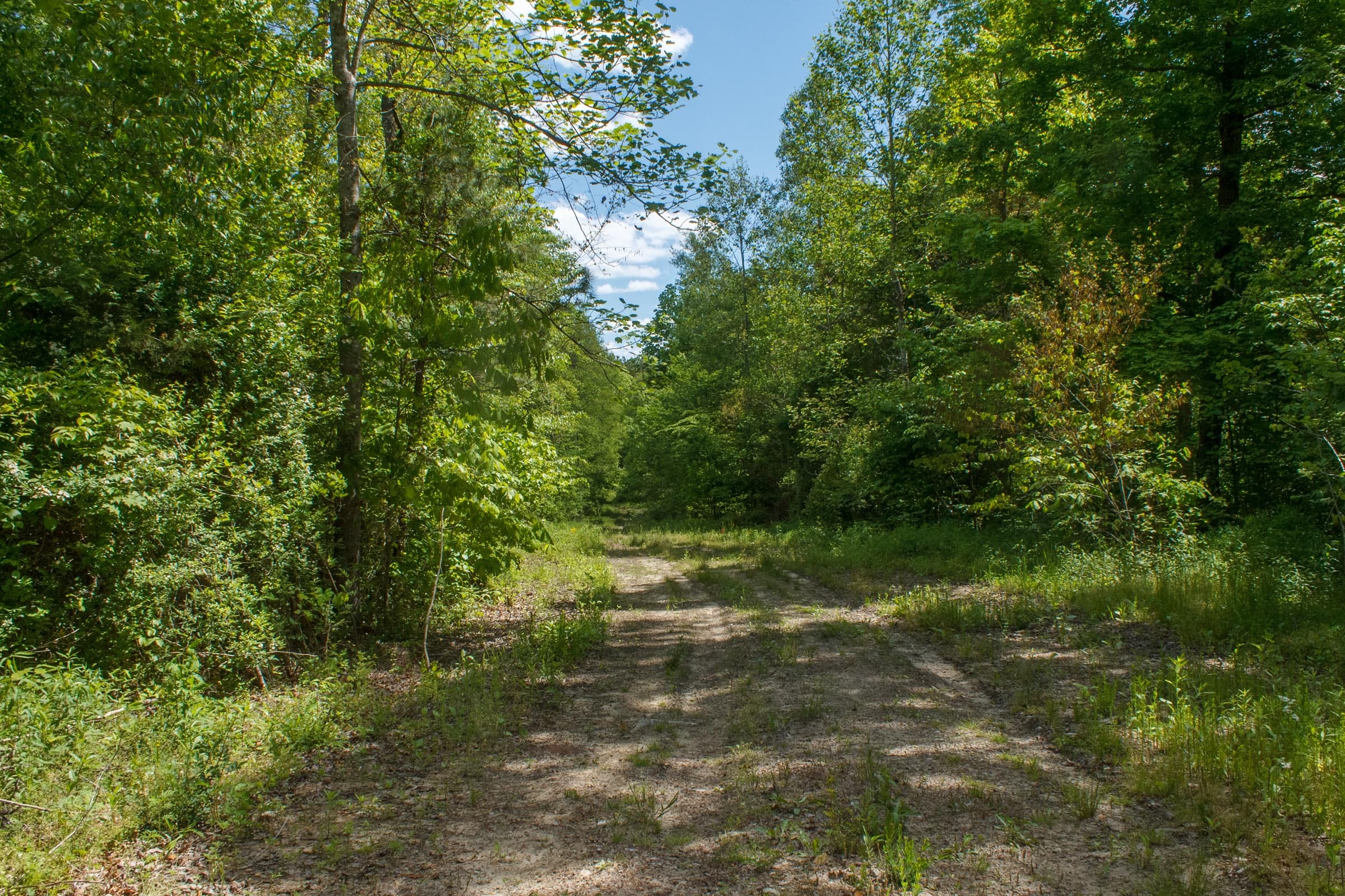 Riverbend Tract 7 photo 1