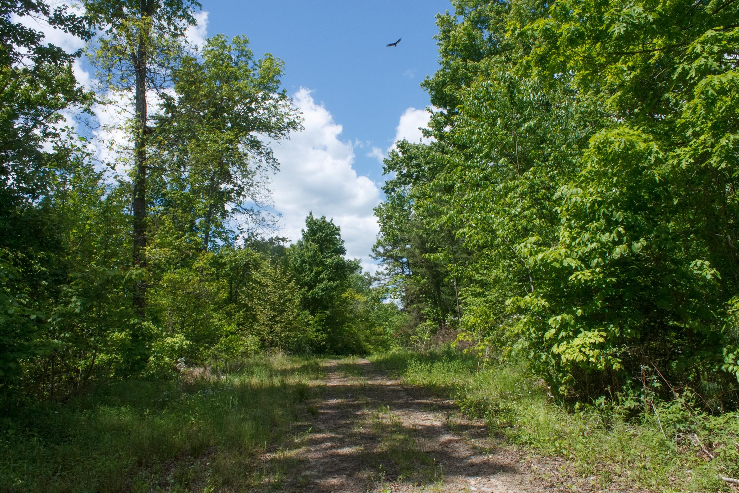 Riverbend Tract 7 photo 2