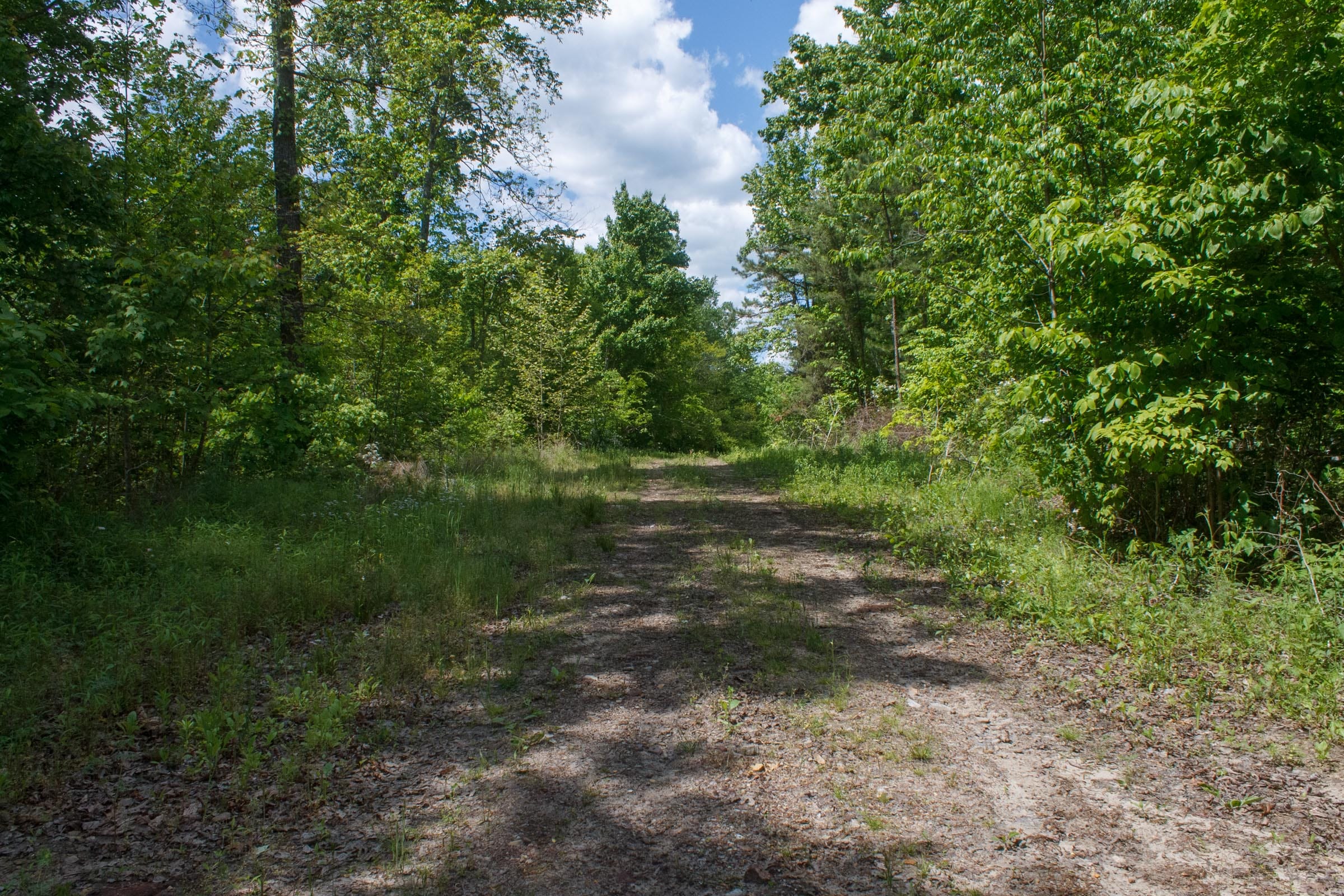 Riverbend Tract 7 photo 3