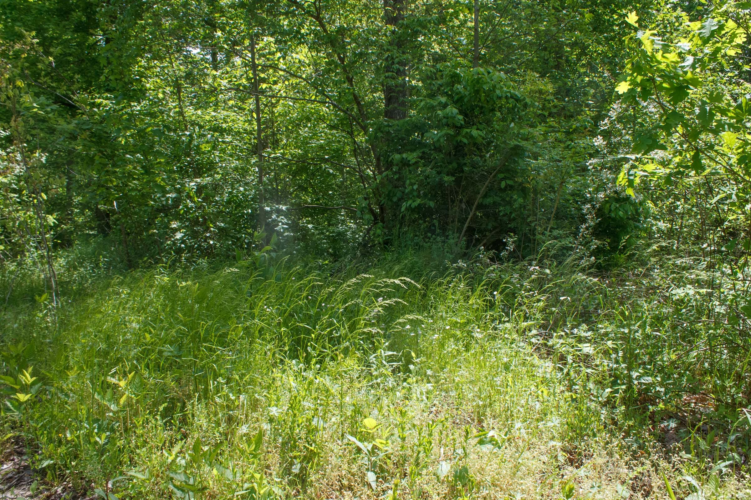Riverbend Tract 7 photo 8
