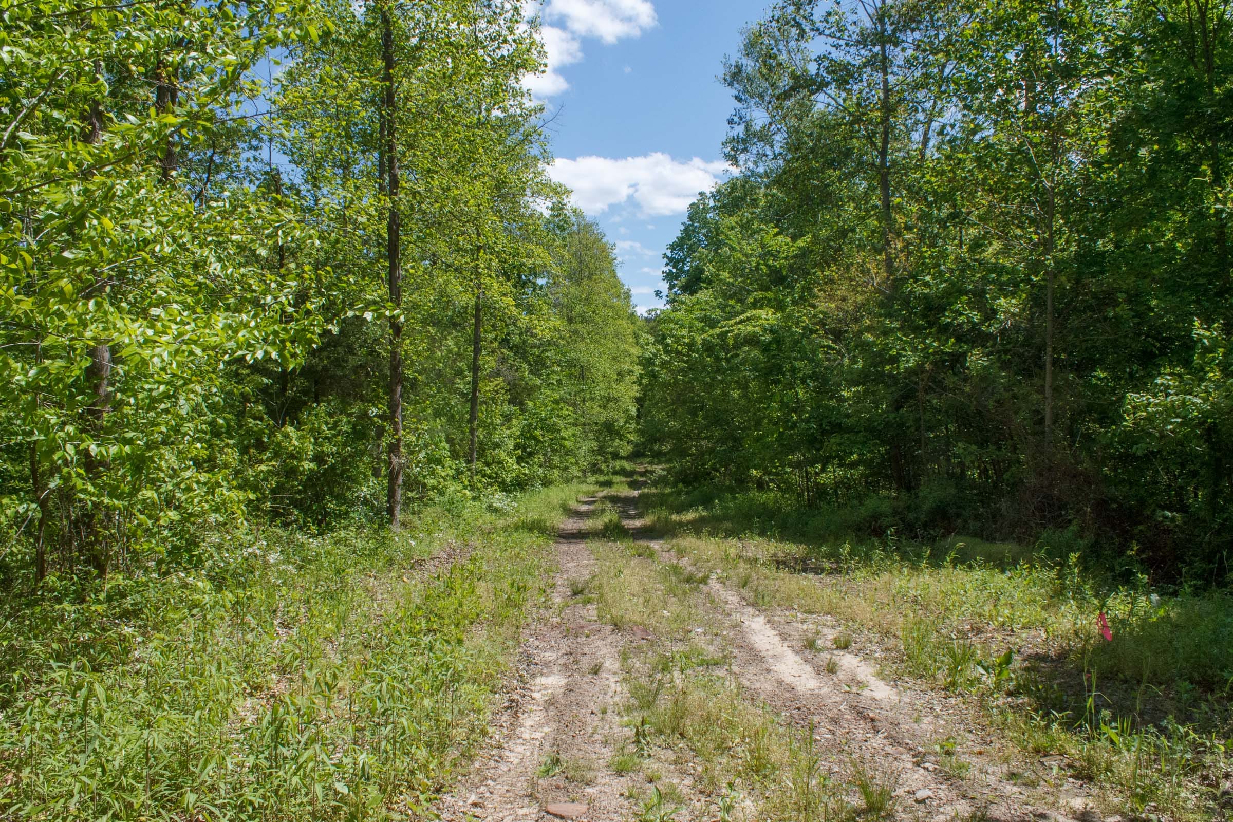 Riverbend Tract 7 photo 11