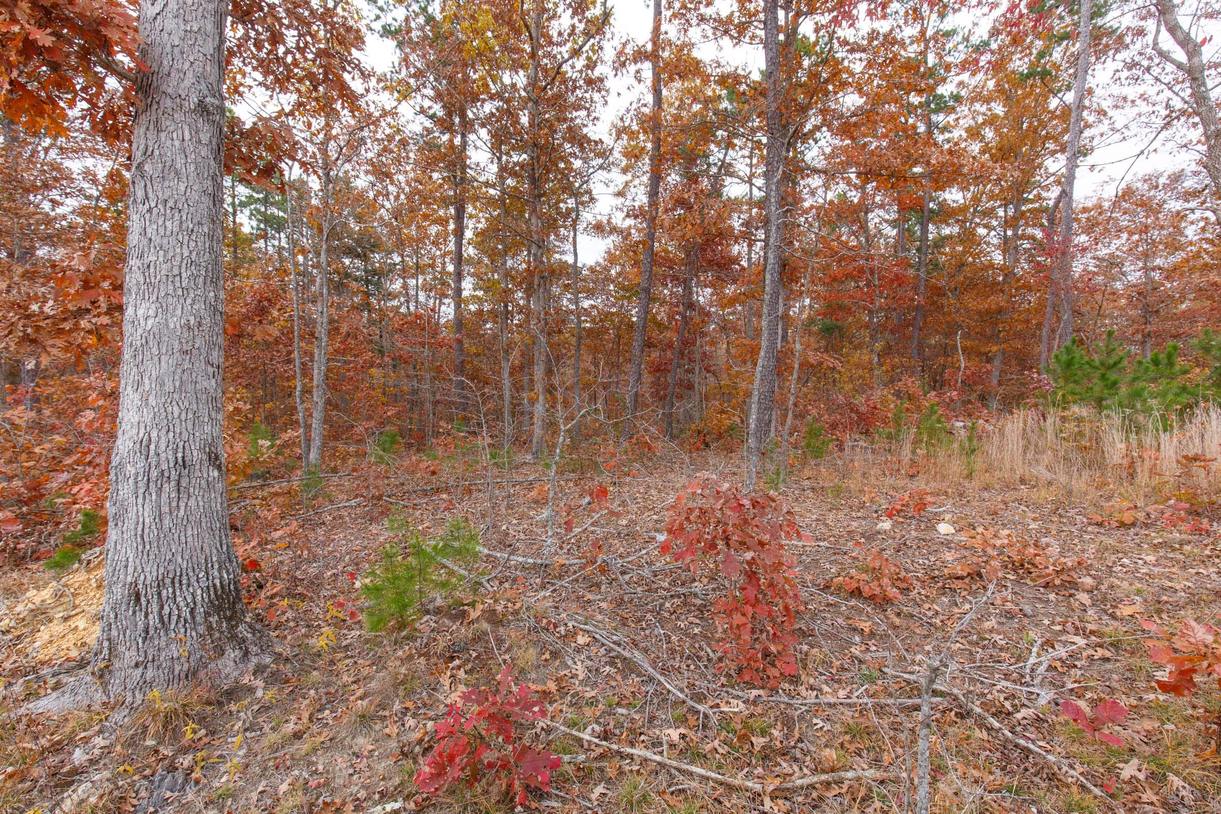 Hawkcrest Tract 21 photo 9
