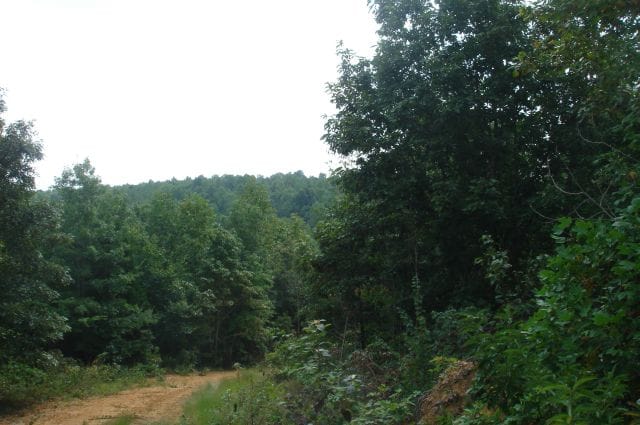 Sugartree Falls Tract 23 photo 1